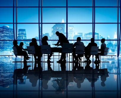 Our Company History and Team